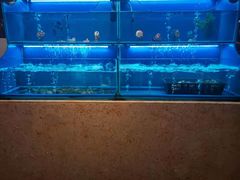 水产区-芭菲盛宴·环球美食(北城国际店)