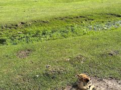 -新疆那拉提国家旅游度假区