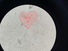 -太原东方动物医院(小店分院)