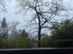 -广州市白云山风景名胜区
