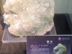 -中华赏石园