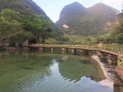 -靖西鹅泉风景区