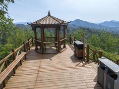 -大岭沟猕猴桃谷风景区