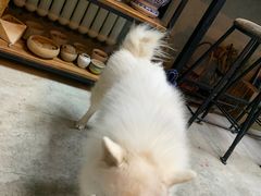 -100家灵感仓库·DIY团建(什刹海店)