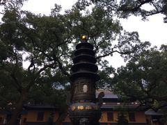 -普陀山风景名胜区-法雨禅寺