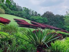-深圳仙湖植物园