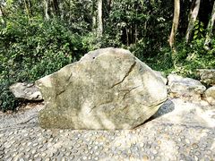 -上海佘山国家森林公园天马山园