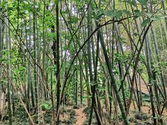 -苏州河梦清园环保主题公园