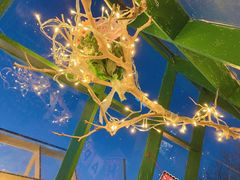 -佐佑帐篷环游记(南锣鼓巷店)