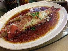 -上海龙之梦万丽酒店