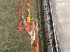 -前童古镇