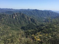 -大岭沟猕猴桃谷风景区