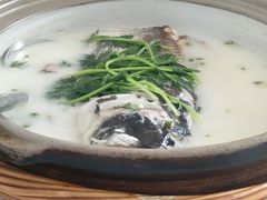 -天乐农家鱼头王(天目湖店)