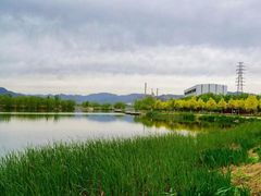 -永定河休闲森林公园