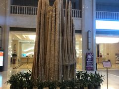 -兴芮温泉度假区