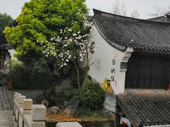 -台儿庄古城