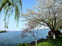 -浙江西子宾馆·牡丹厅