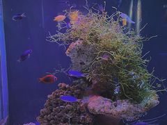 -海合安武汉极地海洋公园