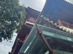 -新加坡佛牙寺龙华院