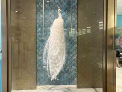 -孔雀云贵川·融合菜(长宁来福士店)
