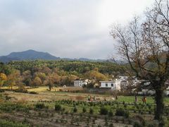 -塔川景区