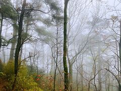 -南岳衡山风景名胜区