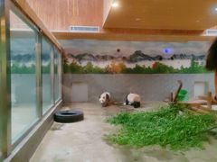 -西安秦岭野生动物园
