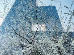 -中央广播电视总台(光华路办公区)