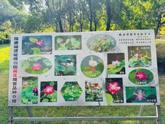 -洛阳市隋唐城遗址植物园