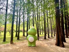 -日照海滨国家森林公园