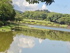 -东莞植物园