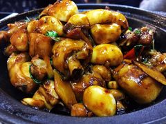 -台北楚楚园馅饼粥(虹桥南丰城店)