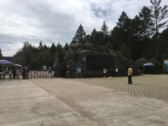 -汤旺河林海奇石景区