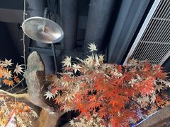-城墙拐拐火锅(三峡广场黑金冠店)