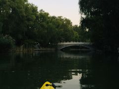 -WhaleSports户外水上运动俱乐部(朝阳公园店)