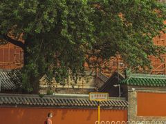 -北京国子监胡同