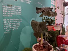-中国湿地博物馆