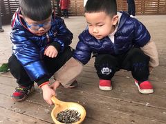 -黄龙溪欢乐田园