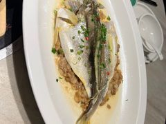 -滋粥楼·顺德菜海鲜茶点(金融城店)