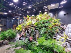 -Zoolung Zoolung动物主题公园(海信广场店)