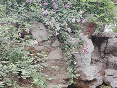 -玲珑塔公园