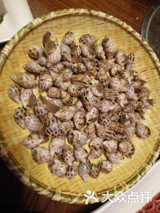 东海怡品海鲜餐厅(滨湖店)花螺图片 - 第2207张