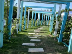 -同里国家湿地公园