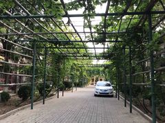 -万源龙顺度假庄园生态观光园