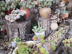 -炊烟餐厅