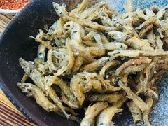 -马帮菜馆·美味野生菌