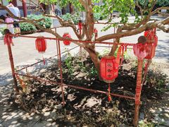 -北京鹿世界主题园