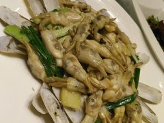 蛏子-东方之珠海鲜酒楼(南开店)