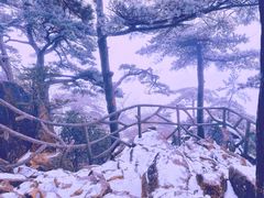 -黄山风景区