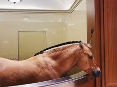 -海澜飞马水城